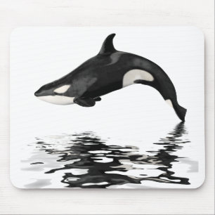 Isolated killer whale with reflection mouse pad