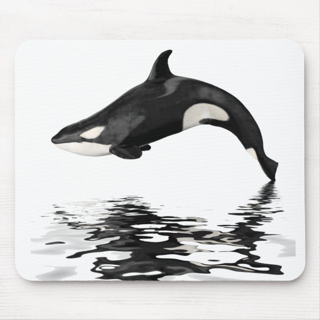 Isolated killer whale with reflection mouse pad (Front)