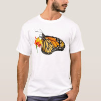 Isolated monarch butterfly