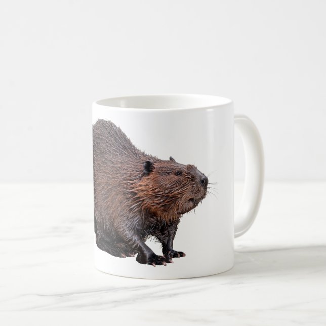 Isolated North American Beaver Coffee Mug (Front Right)