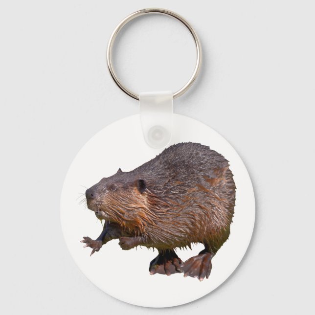 Isolated of North American Beaver Postcard Square  Keychain (Front)