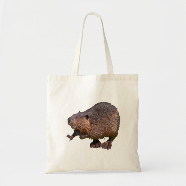 Isolated of North American Beaver Postcard Square  Tote Bag (Front)
