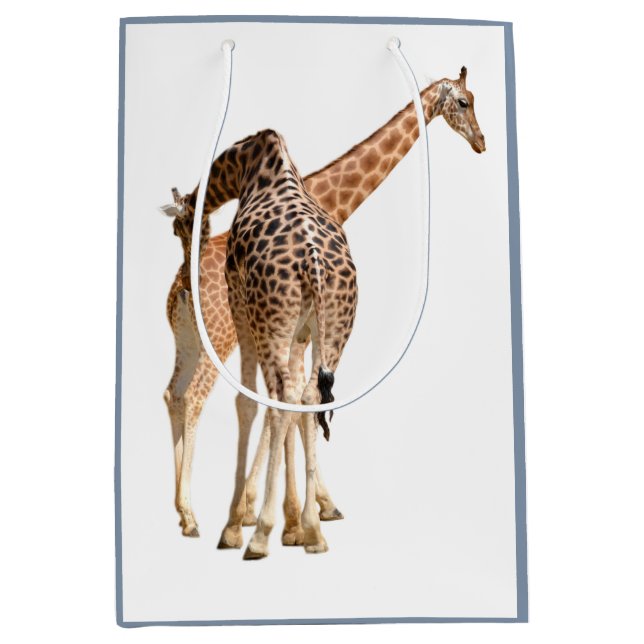 Isolated of two giraffes male and female medium gift bag (Front)