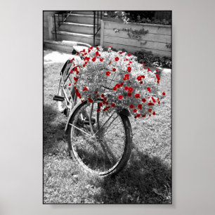 Isolated Red Colour Flowers Black and White Poster