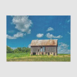 Isolated Weathered Barn on Stones "Stilts" Tissue Paper