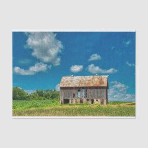Isolated Weathered Barn on Stones "Stilts" Tissue Paper