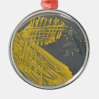 Isolation Streak of Bacteria Metal Ornament