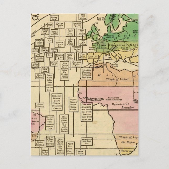 Isothermal chart, productions postcard (Front)