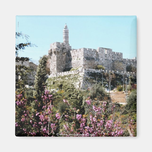 Israel 22 magnet (Front)