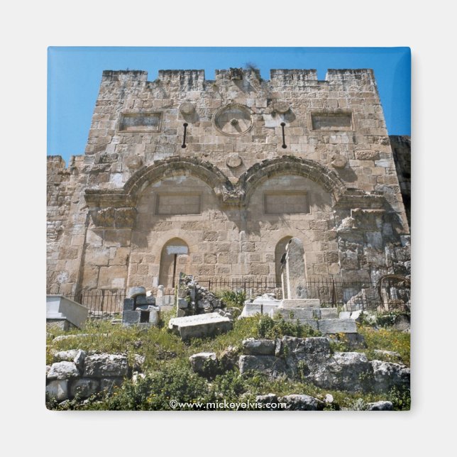 Israel 43 magnet (Front)