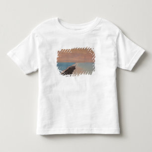 Israel, Dead Sea, Ein Bokek, Dead Sea, dusk Toddler T-shirt