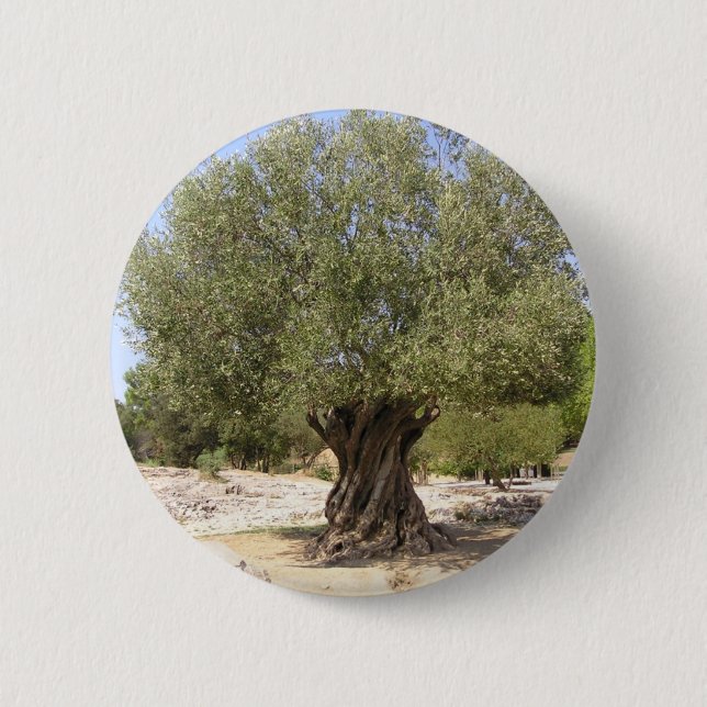 Israel Olive Tree 2 Inch Round Button (Front)