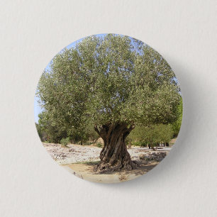 Israel Olive Tree 2 Inch Round Button