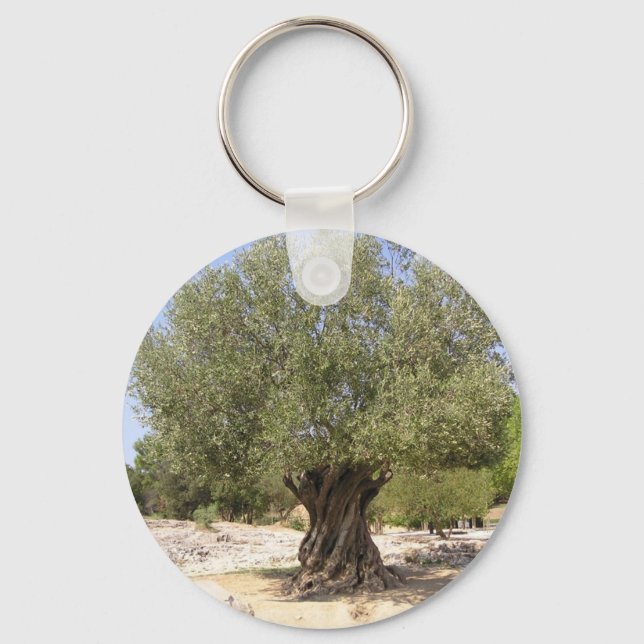 Israel Olive Tree Keychain (Front)