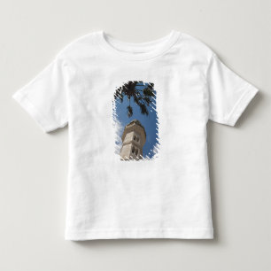 Israel, West Bank, Bethlehem, Mosque of Omar Toddler T-shirt