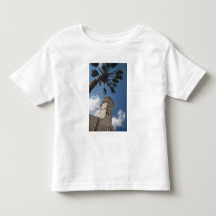Israel, West Bank, Bethlehem, Mosque of Omar Toddler T-shirt