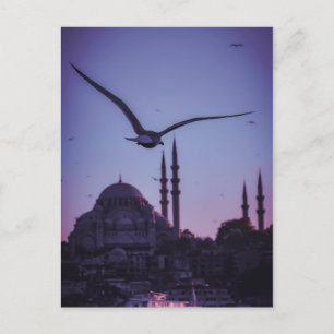 Istanbul At Sunset. Postcard