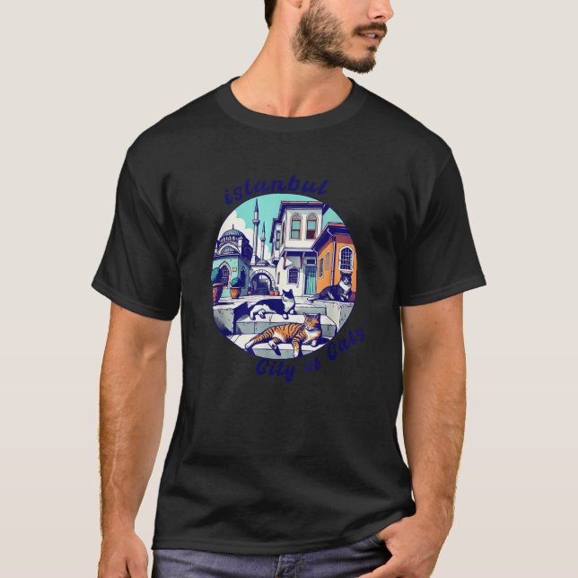 Istanbul Turkey City of Cats Lazy Dark Stray Cats  T-Shirt (Front)