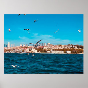 Istanbul view with seagulls on a warm sunny day, B Poster
