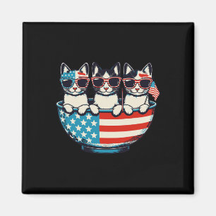 Istant Fireworks Director 4th Of July Independence Magnet