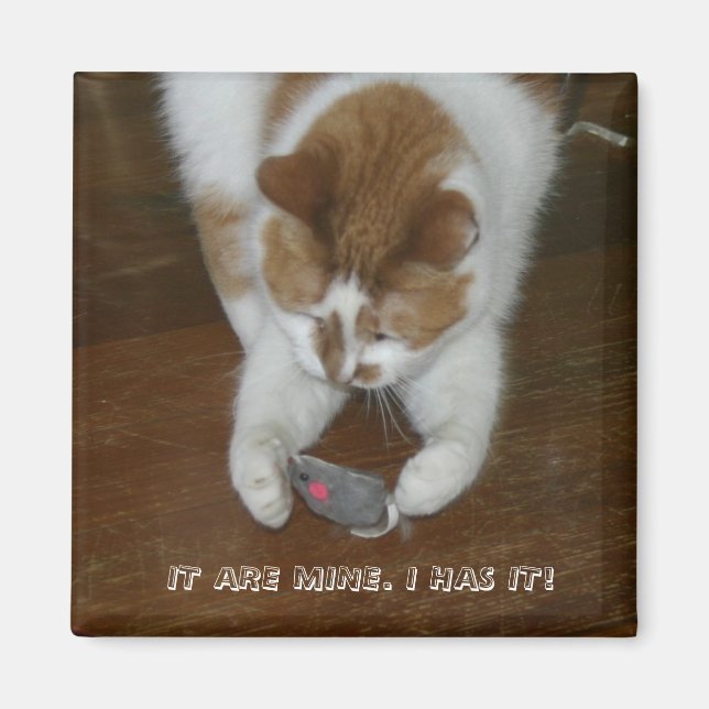 IT ARE MINE. I HAS IT! MAGNET (Front)