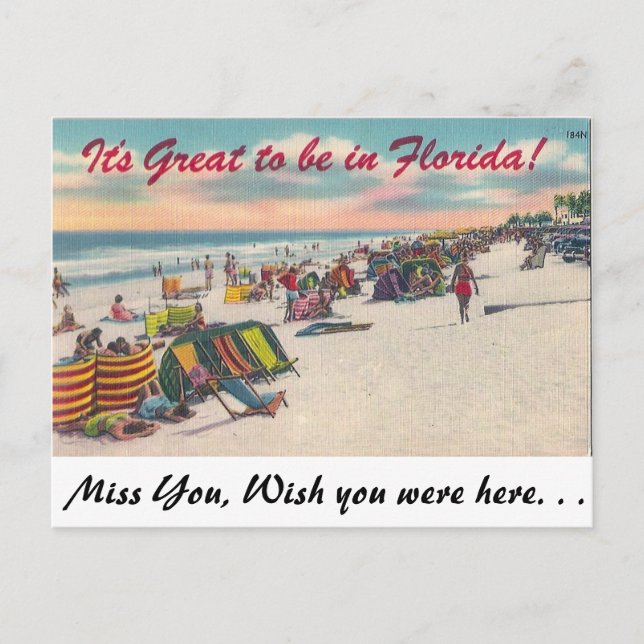 It' great to be in Florida! Postcard (Front)