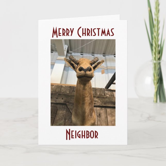 IT IS THE **CHRISTMAS MOOSE** SAYING HAPPY HOLIDAY (Front)