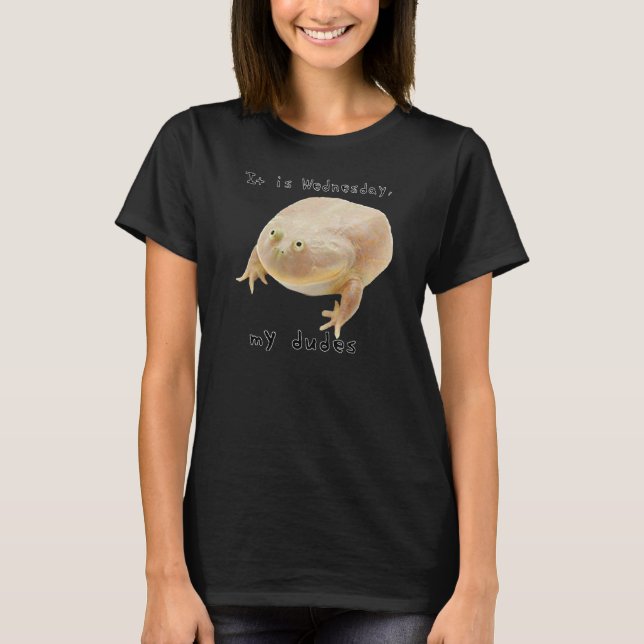 It is Wednesday My Dudes Classic Funny Frog Meme 1 T-Shirt (Front)