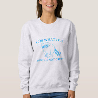 It Is What It Is And It Is Not Great Drawing Sweatshirt