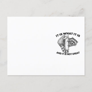 It Is What It Is And It Is Not Great Raccoon Postcard