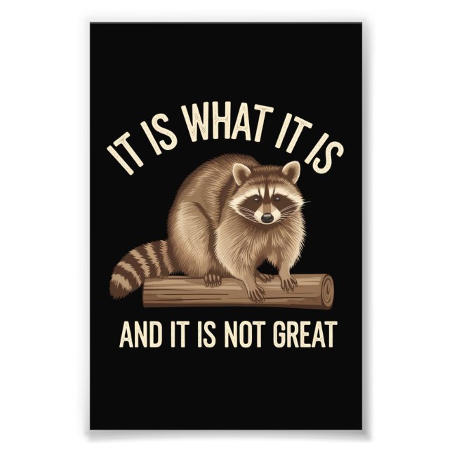 It Is What It Is and It Is Not Great Racoon Xmas Photo Print (Front)