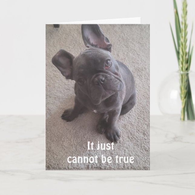 *IT JUST CANNOT BE TRUE** 40th BIRTHDAY CARD (Front)