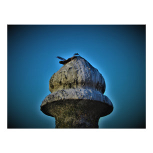 "It Lives by Sunset" Photo Print