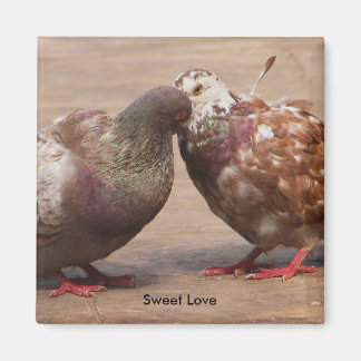 It must be love magnet