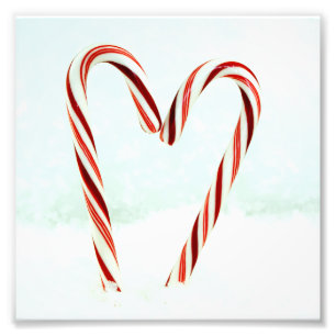 It Must Be Love Photo Print