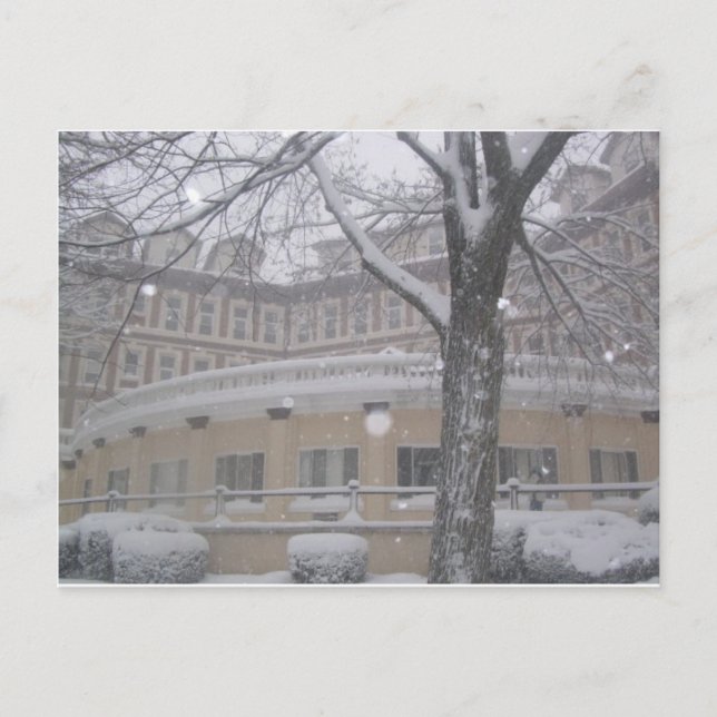 IT NOT MY DAY FOR SNOW CREW IS IT???? POSTCARD (Front)