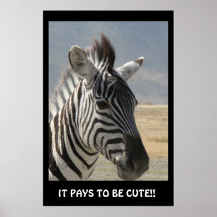 IT PAYS TO BE CUTE! POSTER
