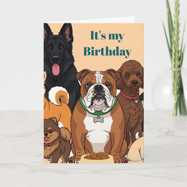 It’s My Birthday Folded Greeting Card (Front)
