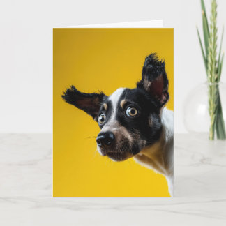 "It’s The Dog" Birthday Card