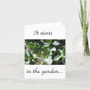 It starts in the garden card