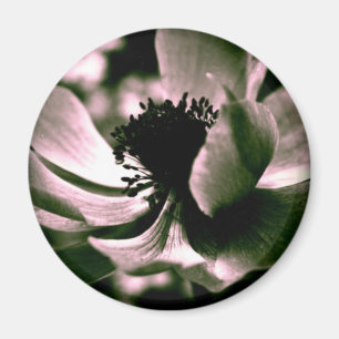 It was a beautiful day.Anemone Magnet