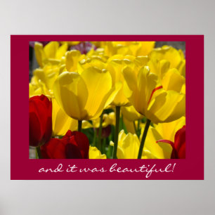 it was beautiful! art print Sunlit Bright Tulips