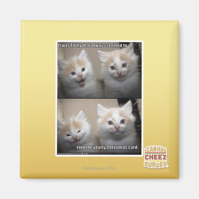 It was Fluffy Magnet (Front)