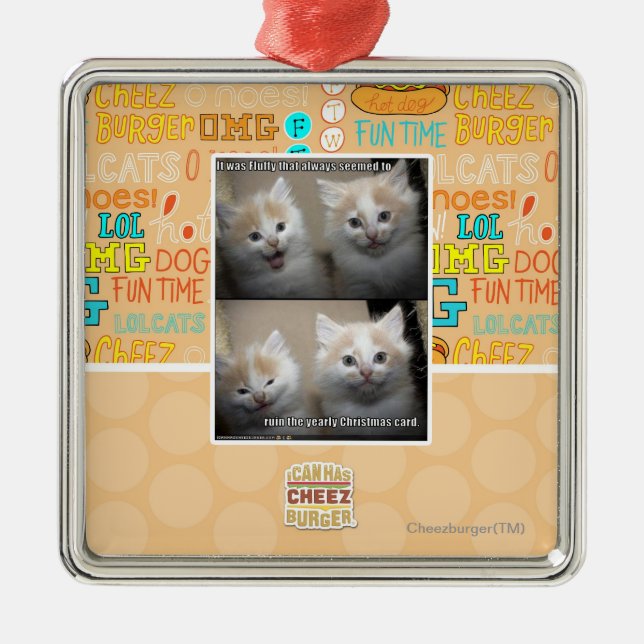 It was Fluffy Metal Ornament (Front)