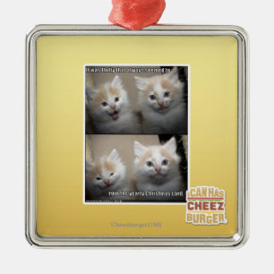 It was Fluffy Metal Ornament