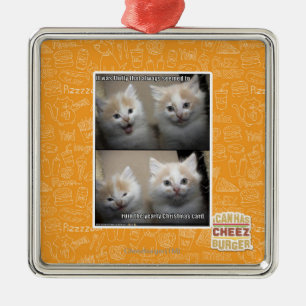 It was Fluffy Metal Ornament