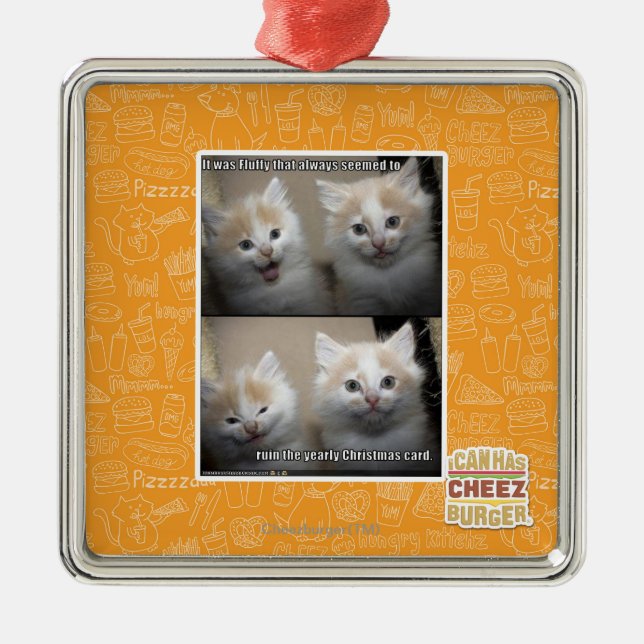 It was Fluffy Metal Ornament (Front)