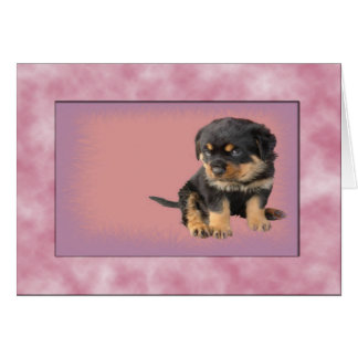 It Was Love At First Sight