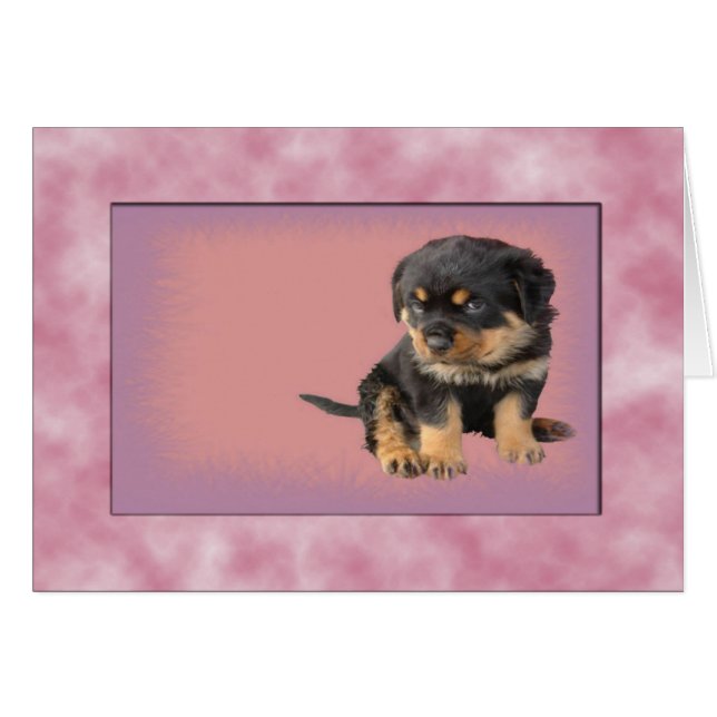 It Was Love At First Sight (Front Horizontal)