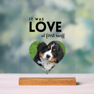 It was LOVE Custom photo Dog Memorial  Acrylic Sign
